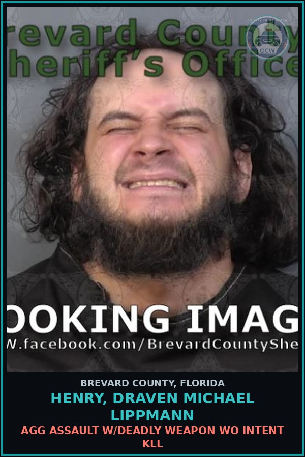 Booking mugshot of HENRY, DRAVEN MICHAEL LIPPMANN in Brevard County