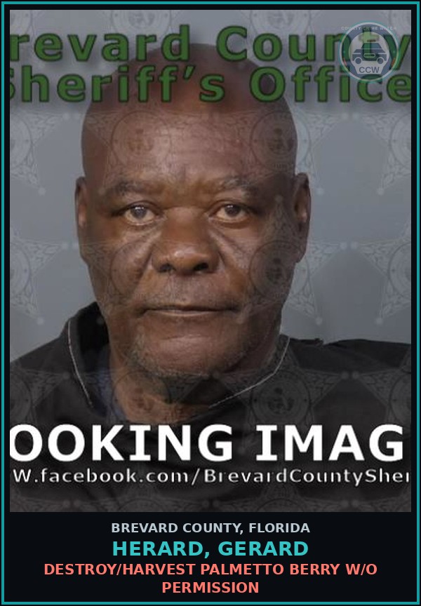 Booking mugshot of HERARD, GERARD in Brevard County