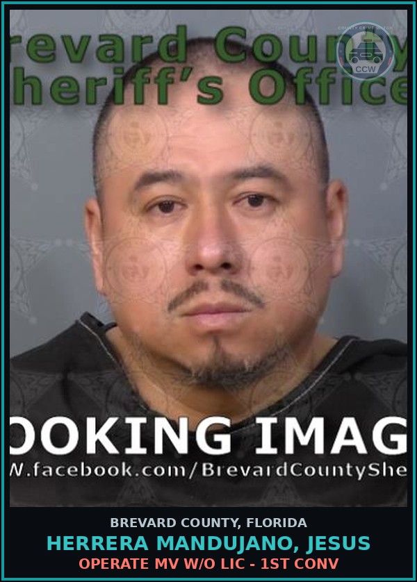 Booking mugshot of HERRERA MANDUJANO, JESUS in Brevard County