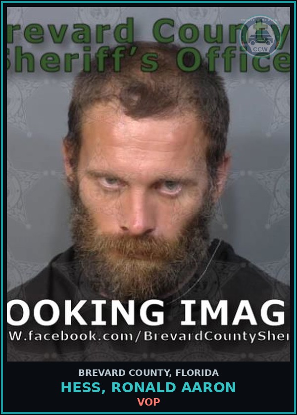 Booking mugshot of Hess, Ronald Aaron in Brevard County