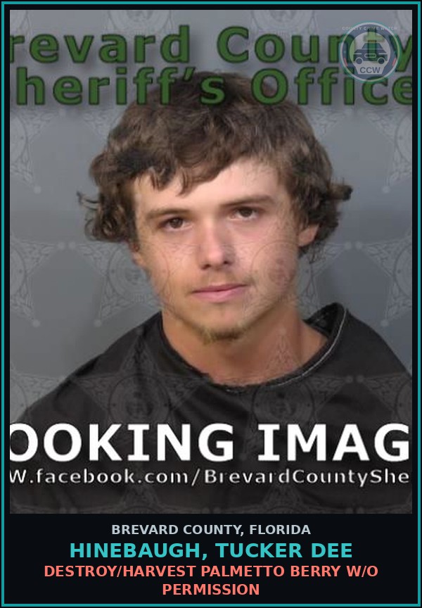 Booking mugshot of HINEBAUGH, TUCKER DEE in Brevard County