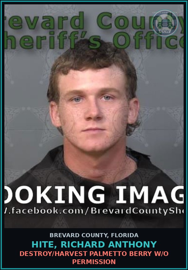 Booking mugshot of HITE, RICHARD ANTHONY in Brevard County