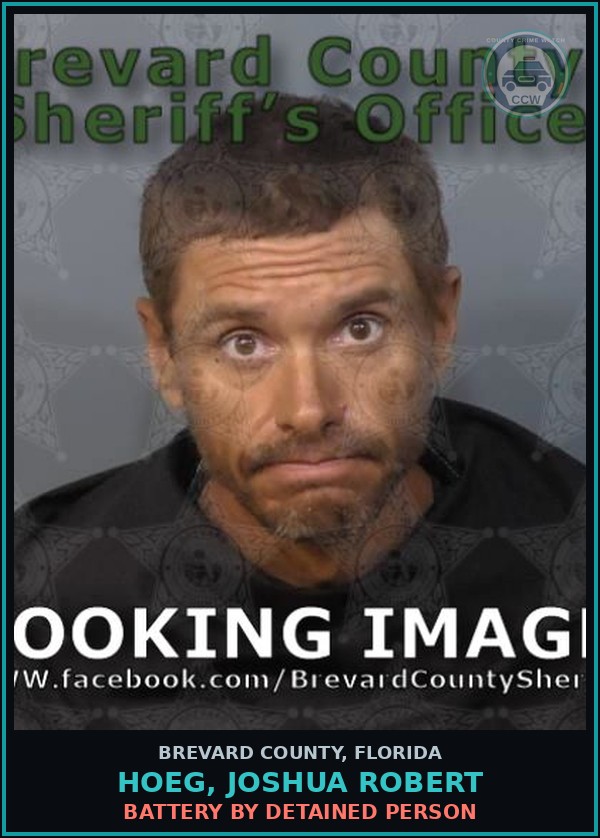 Booking mugshot of Hoeg, Joshua Robert in Brevard County