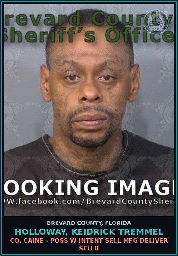 Booking mugshot of HOLLOWAY, KEIDRICK TREMMEL in Brevard County