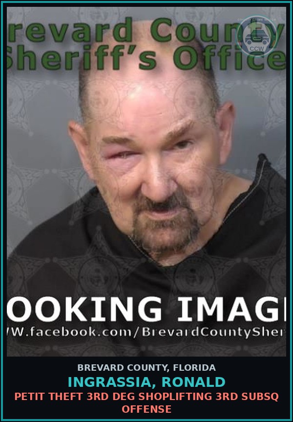Booking mugshot of INGRASSIA, RONALD in Brevard County