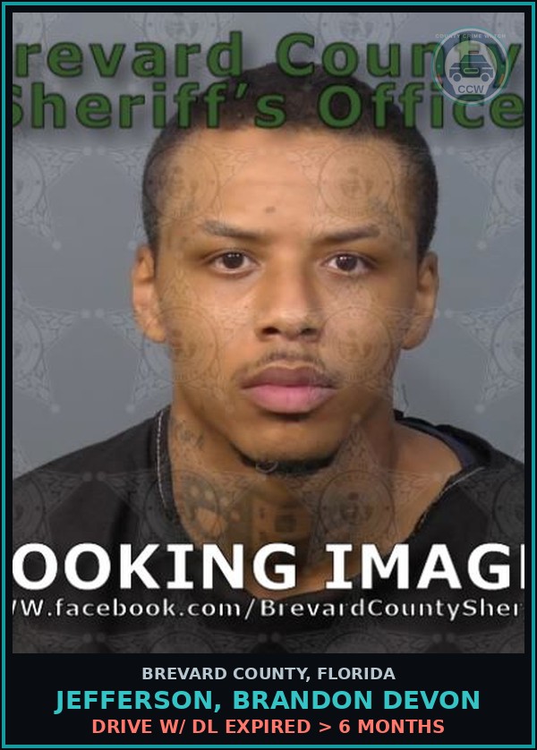 Booking mugshot of JEFFERSON, BRANDON DEVON in Brevard County