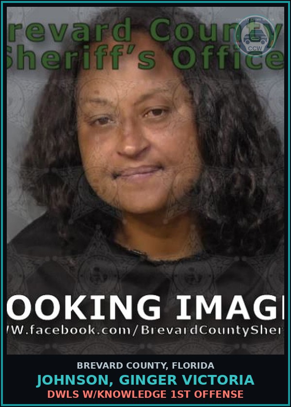 Booking mugshot of Johnson, Ginger Victoria in Brevard County