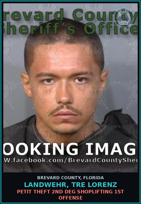Booking mugshot of LANDWEHR, TRE LORENZ in Brevard County
