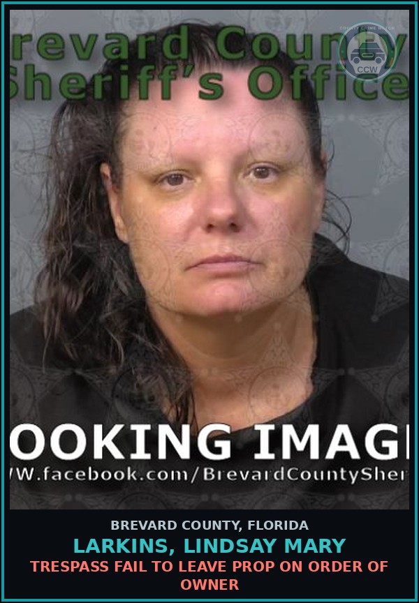 Booking mugshot of Larkins, Lindsay Mary in Brevard County