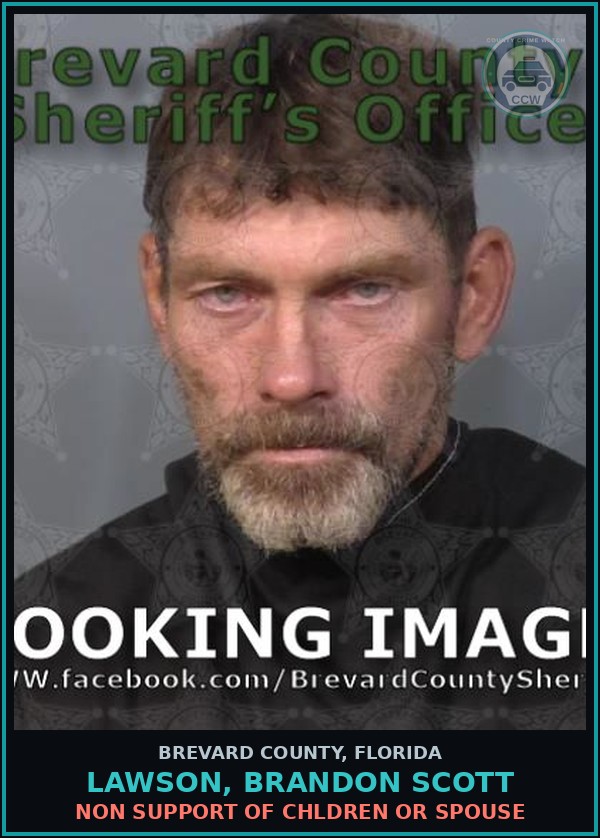 Booking mugshot of Lawson, Brandon Scott in Brevard County