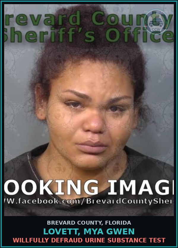 Booking mugshot of LOVETT, MYA GWEN in Brevard County
