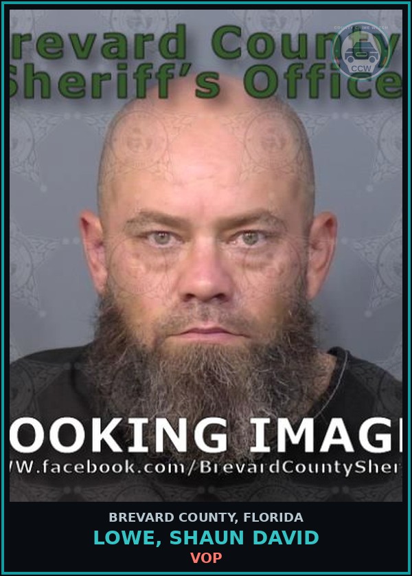 Booking mugshot of Lowe, Shaun David in Brevard County