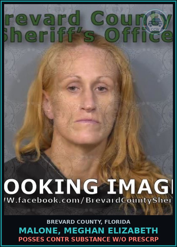 Booking mugshot of MALONE, MEGHAN ELIZABETH in Brevard County
