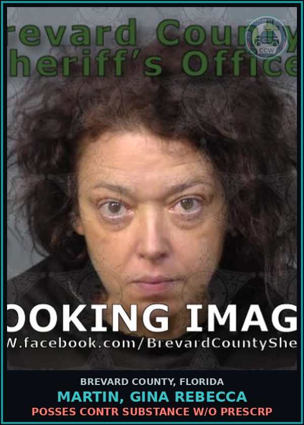 Booking mugshot of MARTIN, GINA REBECCA in Brevard County