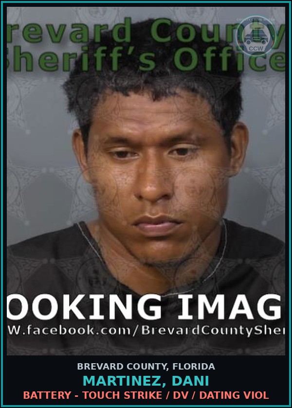 Booking mugshot of MARTINEZ, DANI in Brevard County