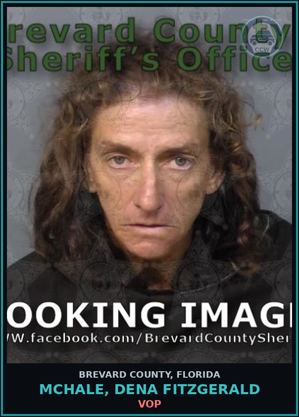 Booking mugshot of McHale, Dena Fitzgerald in Brevard County