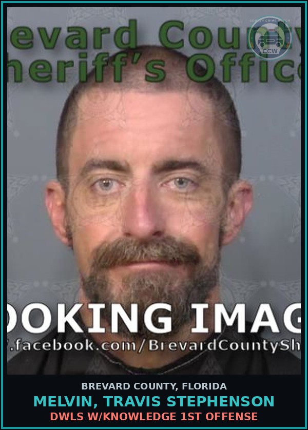 Booking mugshot of MELVIN, TRAVIS STEPHENSON in Brevard County