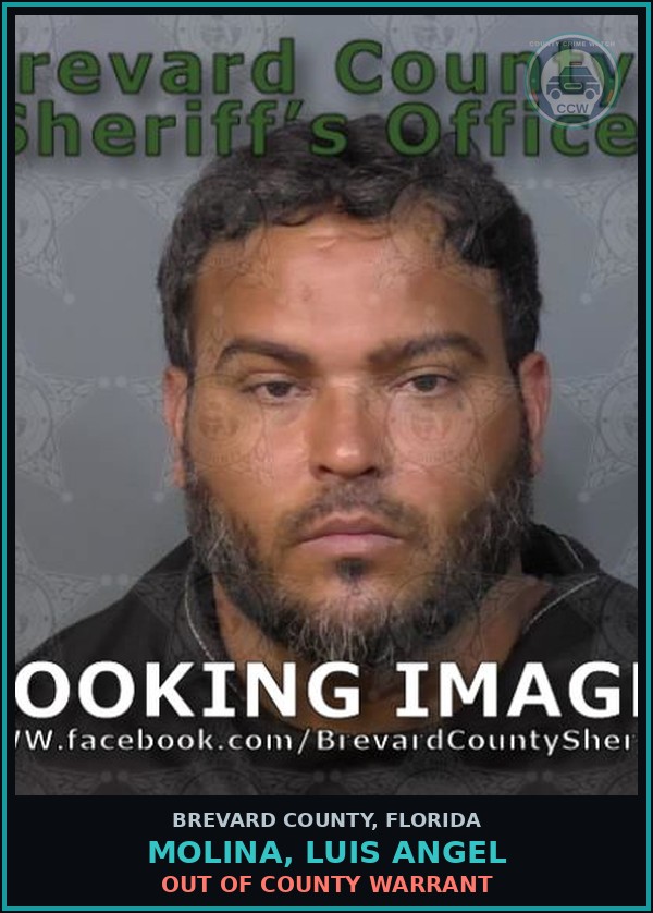 Booking mugshot of Molina, Luis Angel in Brevard County