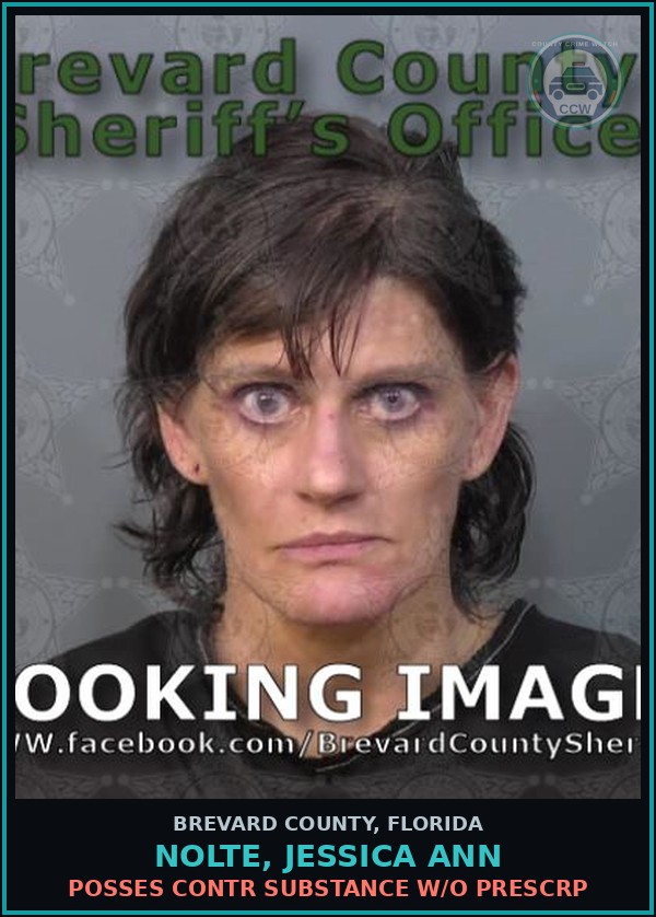 Booking mugshot of NOLTE, JESSICA ANN in Brevard County
