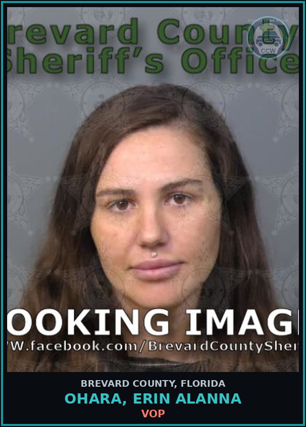 Booking mugshot of OHara, Erin Alanna in Brevard County