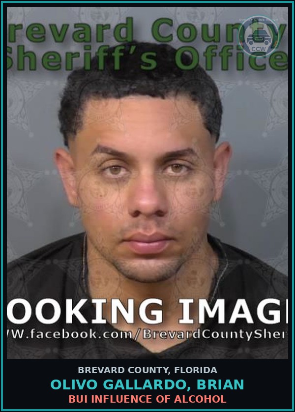 Booking mugshot of OLIVO GALLARDO, BRIAN in Brevard County