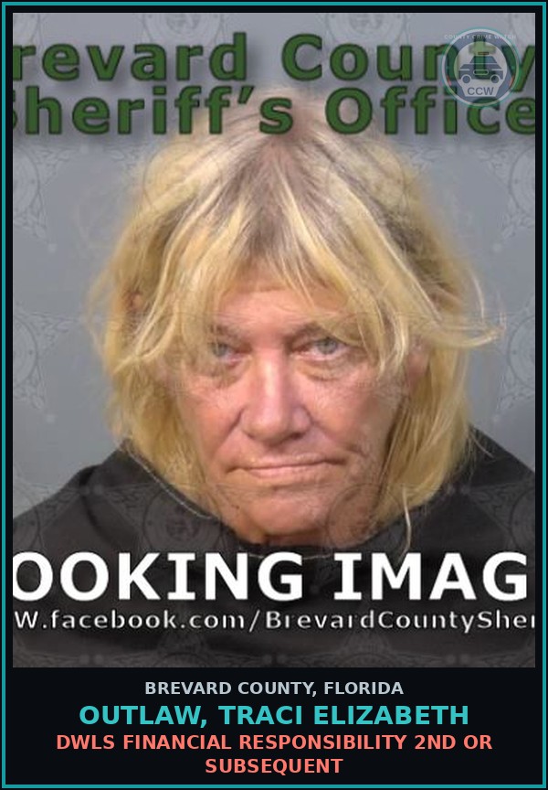 Booking mugshot of OUTLAW, TRACI ELIZABETH in Brevard County