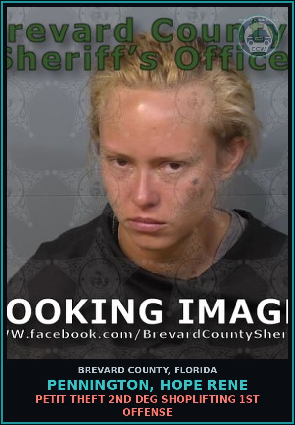Booking mugshot of PENNINGTON, HOPE RENE in Brevard County