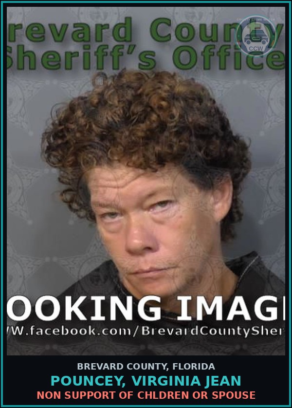 Booking mugshot of Pouncey, Virginia Jean in Brevard County