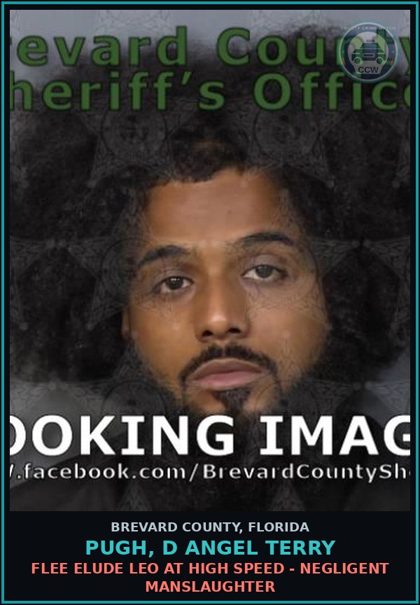 Booking mugshot of PUGH, D ANGEL TERRY in Brevard County