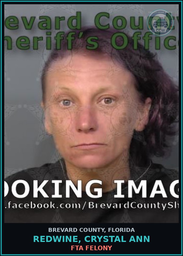 Booking mugshot of REDWINE, CRYSTAL ANN in Brevard County