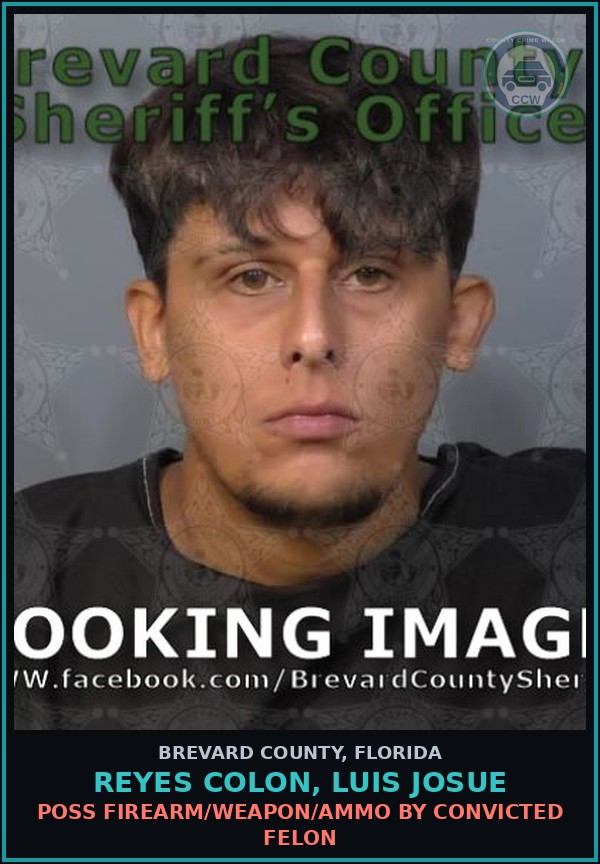 Booking mugshot of REYES COLON, LUIS JOSUE in Brevard County