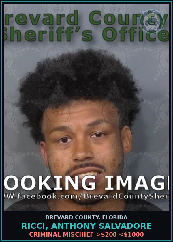 Booking mugshot of Ricci, Anthony Salvadore in Brevard County