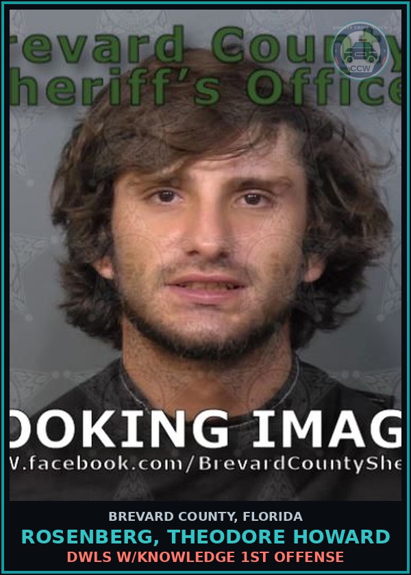 Booking mugshot of ROSENBERG, THEODORE HOWARD in Brevard County