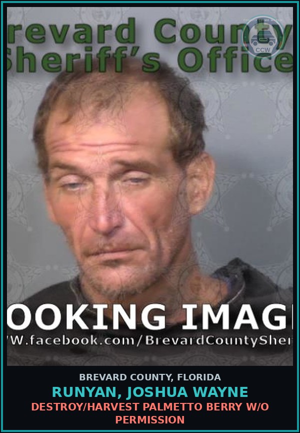 Booking mugshot of RUNYAN, JOSHUA WAYNE in Brevard County