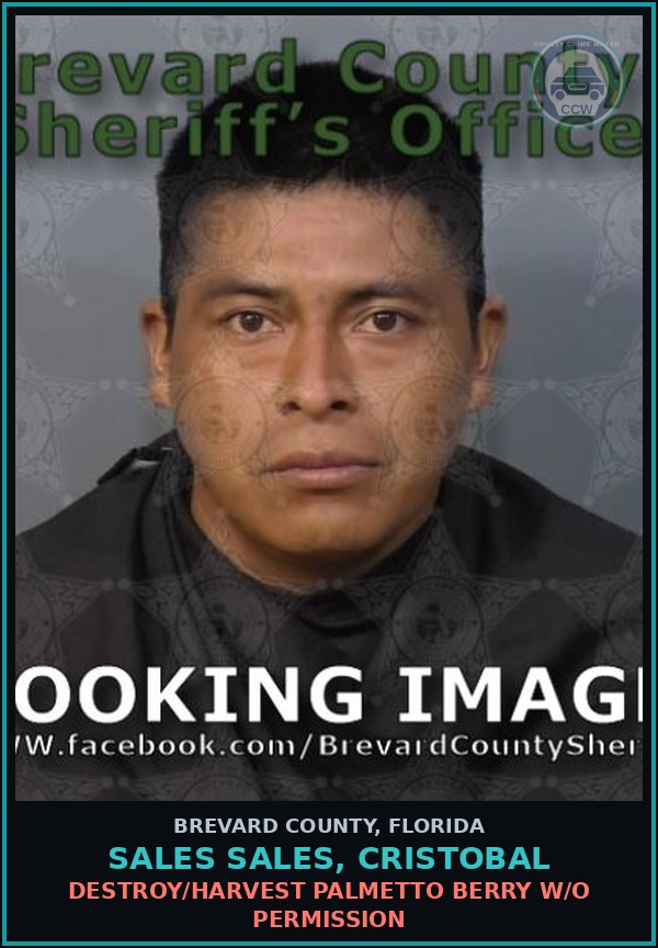 Booking mugshot of SALES SALES, CRISTOBAL in Brevard County