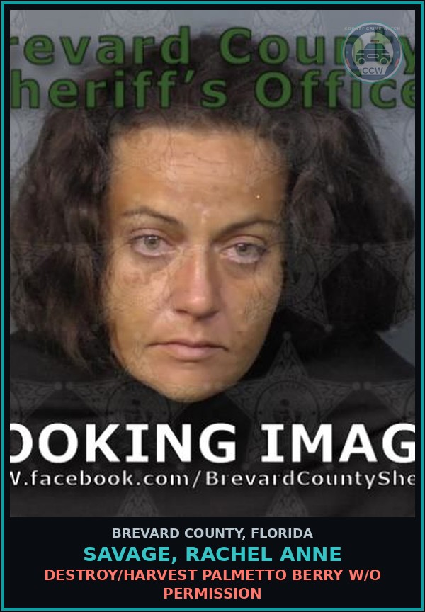 Booking mugshot of SAVAGE, RACHEL ANNE in Brevard County