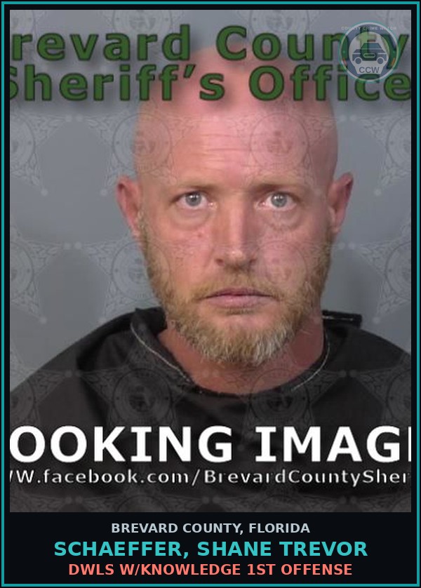 Booking mugshot of Schaeffer, Shane Trevor in Brevard County