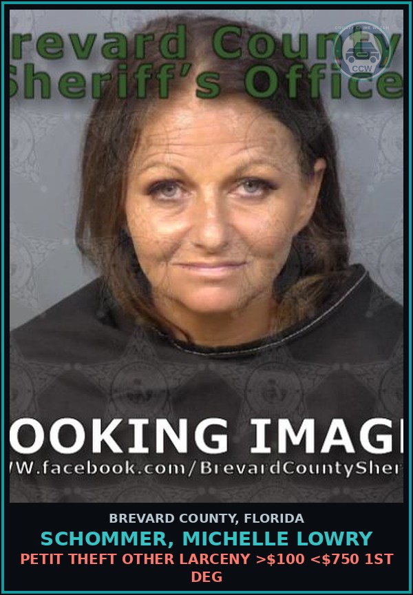 Booking mugshot of Schommer, Michelle Lowry in Brevard County