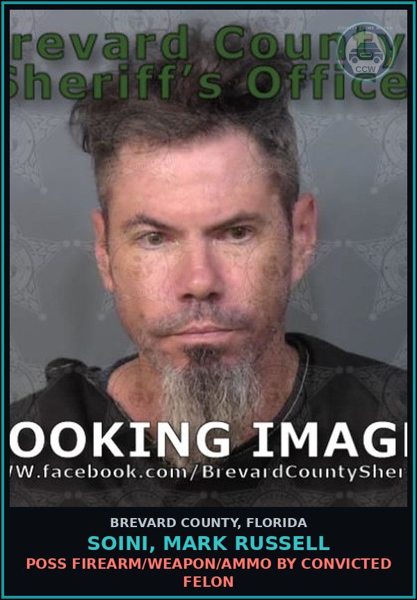 Booking mugshot of SOINI, MARK RUSSELL in Brevard County