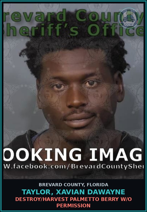 Booking mugshot of TAYLOR, XAVIAN Dawayne in Brevard County