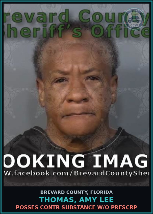 Booking mugshot of Thomas, Amy Lee in Brevard County