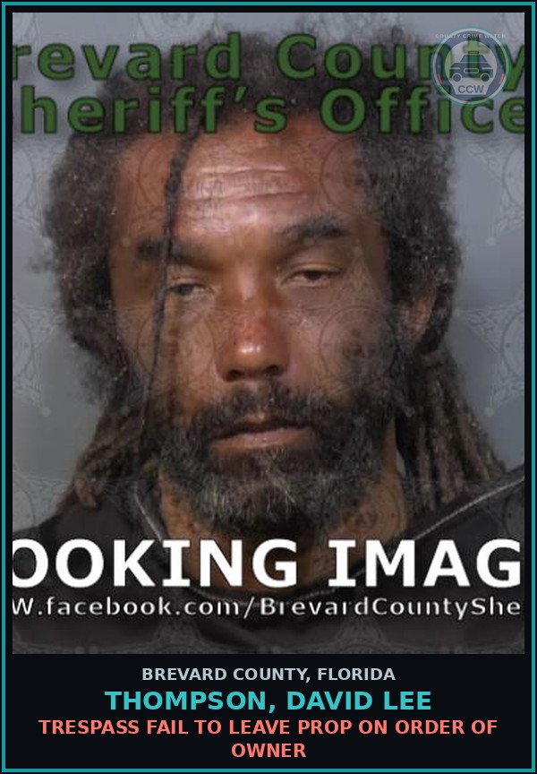 Booking mugshot of THOMPSON, DAVID LEE in Brevard County