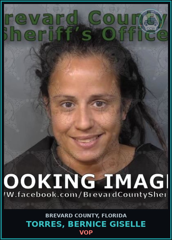 Booking mugshot of TORRES, BERNICE GISELLE in Brevard County