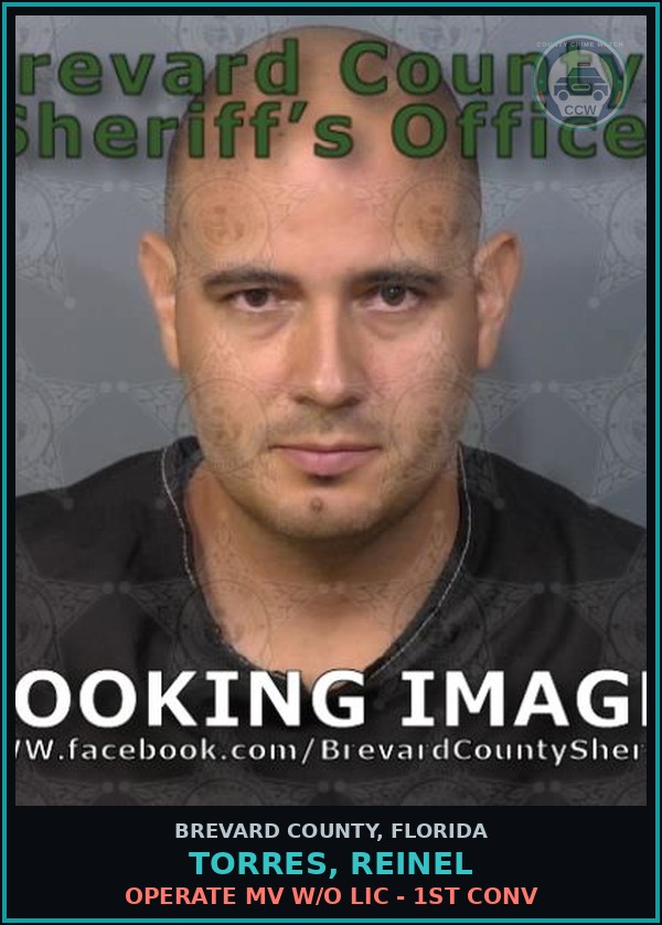 Booking mugshot of TORRES, REINEL in Brevard County