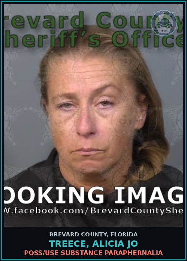 Booking mugshot of TREECE, ALICIA JO in Brevard County