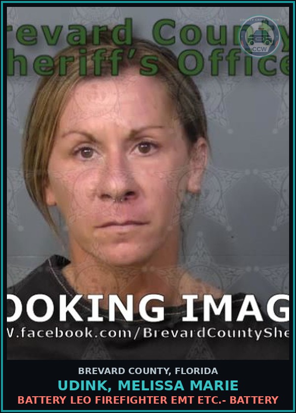 Booking mugshot of UDINK, MELISSA MARIE in Brevard County