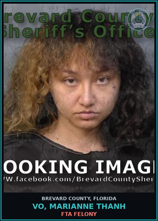 Booking mugshot of Vo, Marianne Thanh in Brevard County