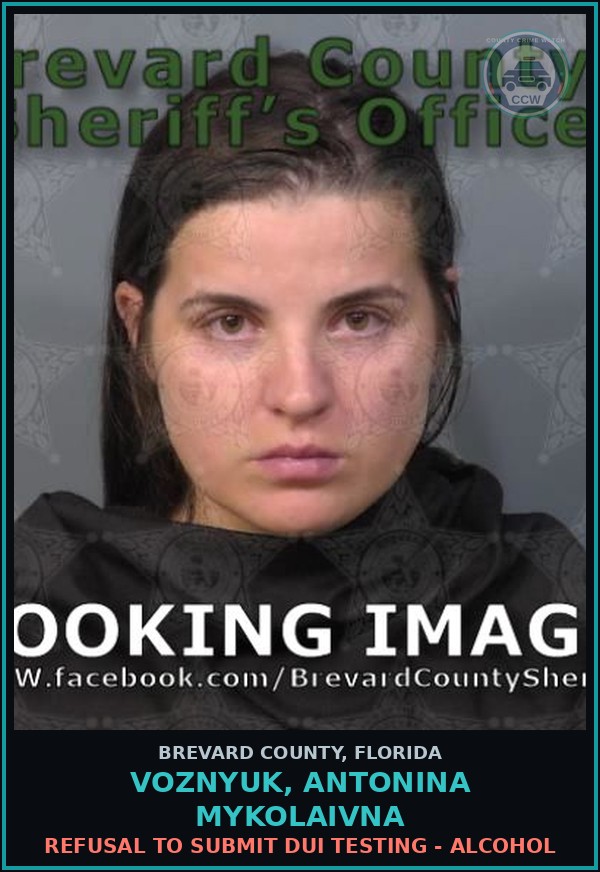 Booking mugshot of VOZNYUK, ANTONINA MYKOLAIVNA in Brevard County