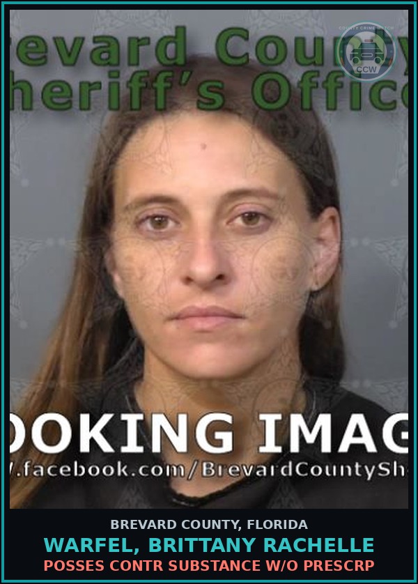 Booking mugshot of WARFEL, BRITTANY RACHELLE in Brevard County