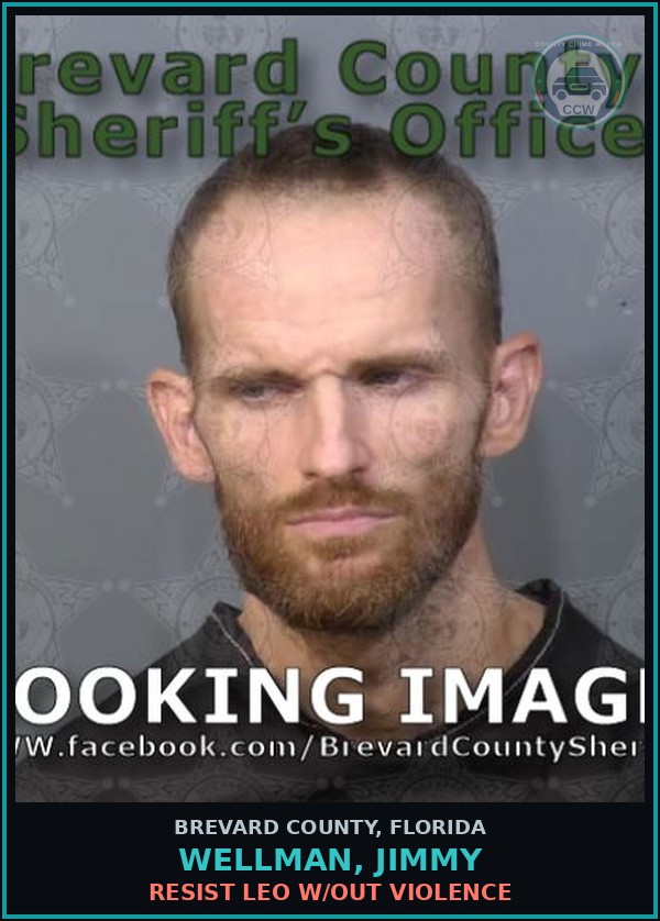 Booking mugshot of WELLMAN, JIMMY in Brevard County